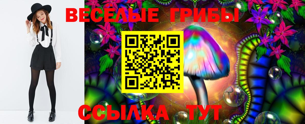 Галлюциногенные грибы Magic Shrooms  Вход с VPN  Минусинск 